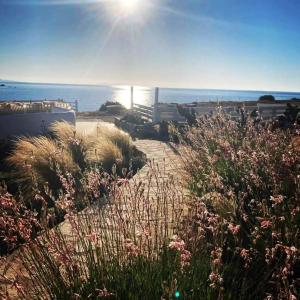 a field of grass and flowers on a beach at Sunset Studios & Rooms in Antiparos