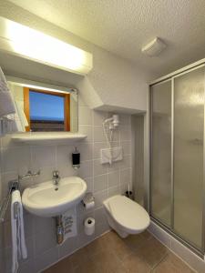 ein Bad mit einem Waschbecken, einem WC und einer Dusche in der Unterkunft Hotel Bernina Hospiz in Berninahäuser