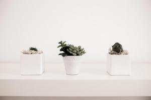 Fotografija u galeriji objekta Balabuska Rooms & Garden u gradu Codevigo