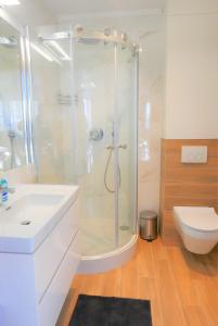a bathroom with a shower and a sink and a toilet at Apartamenty Marco Polo in Dziwnówek