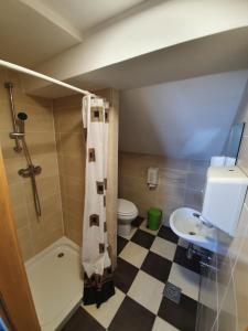 a bathroom with a shower and a toilet and a sink at Pr` Florjan in Cerklje na Gorenjskem