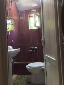 a bathroom with a toilet and a sink at Toma's house in Nakalakevi