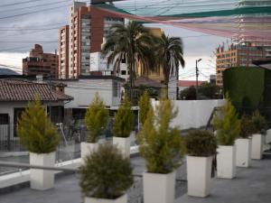 Fotografie z fotogalerie ubytování 1460 Luxury Room KAIA - Best Place in Quito v destinaci Quito