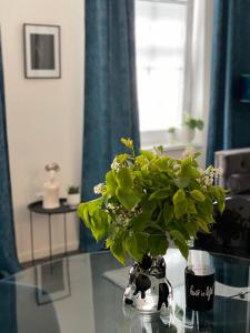 Fotografie z fotogalerie ubytování Apartmány Mia Valtice ve Valticích