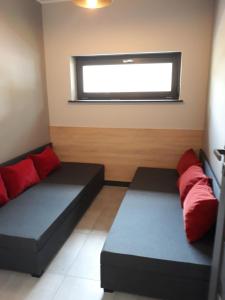 sala de estar con 2 camas y ventana en Boszkowo Makowa Cisza en Boszkowo