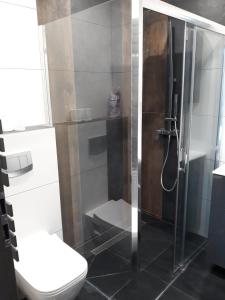 ein Bad mit einer Dusche und einem WC in der Unterkunft Boszkowo Makowa Cisza in Boszkowo