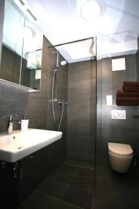 La salle de bains est pourvue d'une douche, d'un lavabo et de toilettes. dans l'établissement Überlinger See-Apartments Apartment 8 Über-See, à Überlingen
