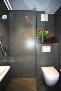 Un baño con inodoro y ducha de cristal. en Überlinger See-Apartments Apartment 5 Über-See, en Überlingen