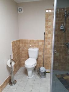 a bathroom with a toilet and a shower at Lauku Mājas Ēmužas in Dārte