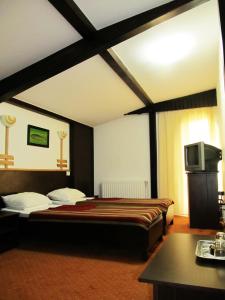 Gallery image of Pensiunea Delta Dunarii in Tulcea