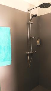 La salle de bains est pourvue d'une douche et d'une serviette bleue. dans l'établissement Chez Victoria Nantes Erdre, à Nantes