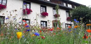 Zahrada ubytování Hotel Das Landhaus