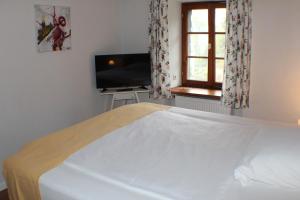 TV a/nebo společenská místnost v ubytování Hotel Das Landhaus