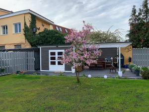 a small tree in the yard of a house at Ferienwohnung Am Müritz Seeufer in Waren