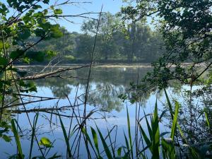 WijhePipowagen Mammaloe的相册照片