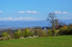 een groen veld met uitzicht op de bergen bij Macedonia, Accommodations,rentals"Villa Vevcani" Vevchani in Vevčani