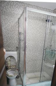 een badkamer met een toilet en een glazen douche bij Kuca Magnolija in Nuštar