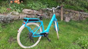 Un vélo bleu est garé dans l'herbe dans l'établissement Blockhaustraum, à Titisee-Neustadt