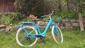 a blue bike parked in the grass in a yard at Schwarzwaldblick in Titisee-Neustadt