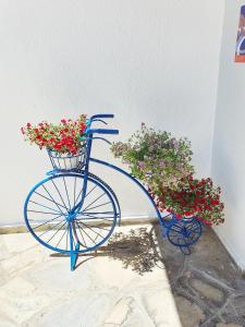 a blue bike parked next to a wall with flowers at Casa Di Estella in Neos Marmaras