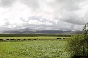 Paesaggio naturale nelle vicinanze dell'appartamento
