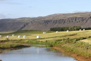 Paesaggio naturale nelle vicinanze dell'appartamento