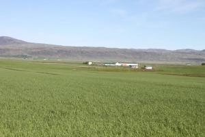 Paesaggio naturale nelle vicinanze dell'appartamento