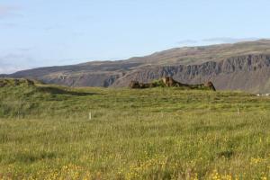 Paesaggio naturale nelle vicinanze dell'appartamento