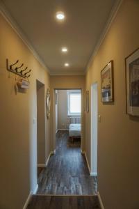 a hallway with yellow walls and wooden floors at Ferienwohnung Kirchblick, für Familien, Freunde, keine Monteure in Gräfenhainichen