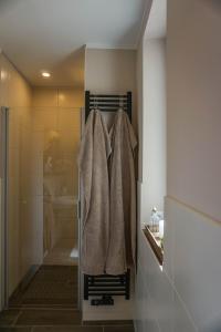 a bathroom with a shower and a towel at Ferienwohnung Kirchblick, für Familien, Freunde, keine Monteure in Gräfenhainichen