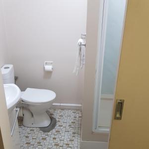 a white bathroom with a toilet and a shower at Kalua Motel in Bundaberg