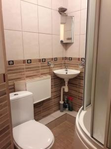 a bathroom with a toilet and a sink at Saules 73 in Daugavpils