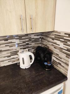 a toaster sitting on a counter in a kitchen at Apartament Piaskowy NR A5 (3-5 os.) in Rowy