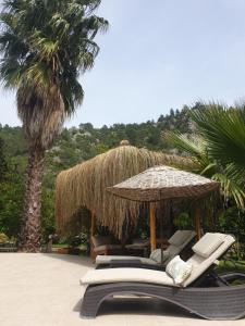 Fotografie z fotogalerie ubytování Portalimo Lodge Hotel - Adult Only +12 v destinaci Çıralı