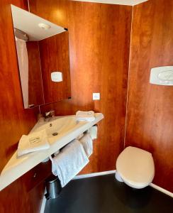 a bathroom with a sink and a toilet at Villa Rambouillet in Rambouillet