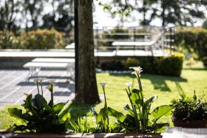 a park with a bench and some plants and flowers at Vecchio Granaio in Pisa