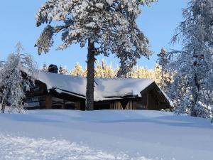 una cabaña en la nieve con un árbol en Skarehaug - koselig hytte med 3 soverom, en Skadeland
