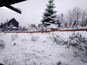 een tuin bedekt met sneeuw met een kerstboom bij Ferienwohnung Charlotte in Winterberg