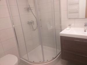 ein Bad mit einer Dusche, einem WC und einem Waschbecken in der Unterkunft Apartments Doris in Nova Vas