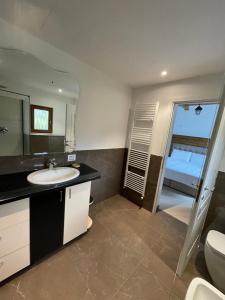 een badkamer met een wastafel en een toilet bij Vila Deluț in Borşa +86 foto's