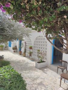 a courtyard with white walls and blue doors and trees at Suite à sidi bou Saïd in Sidi Bou Saïd