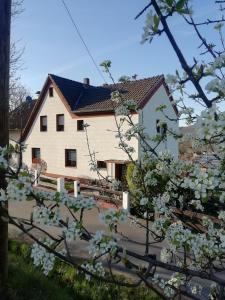 una casa con flores blancas delante de ella en FeWo Mädi, en Windeck