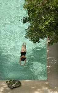 L'Hôtel Particulier في آرل: شخص عائم في الماء في المسبح