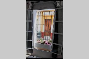a window with flowers in a window box at LUJOSO LOFT a 2min a pie del casco histórico in Seville