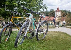Radfahren an der Unterkunft Naturschlosshotel Blumenthal oder in der Nähe