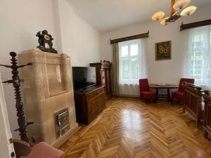 a living room with a fireplace and a tv at Guest House Hena in Sfântu-Gheorghe