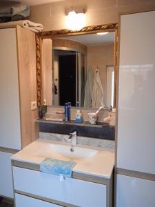 een badkamer met een wastafel en een spiegel bij Sweet home 2 in Charleroi