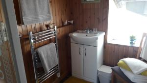 a small bathroom with a sink and a toilet at Self-catering Cottage at Benview in Staffin +6 photos