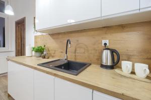 a kitchen counter with a sink and a mixer at Niron Apartament Dom z Papieru Tokio in Piła