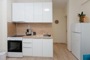 Kuchyň nebo kuchyňský kout v ubytování (Apt.1) Lofos Apartments in Vergia Halkidiki